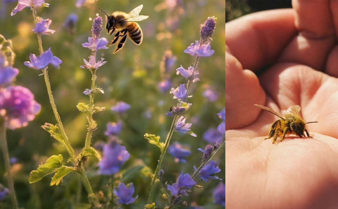 🐝 Plantas Amigas das Abelhas: Jardins que Alimentam o Mundo