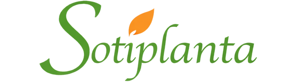 Sotiplanta