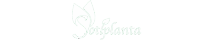 Sotiplanta